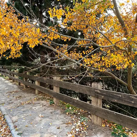 Snow&fun - - Monte Oiz Апартаменты *