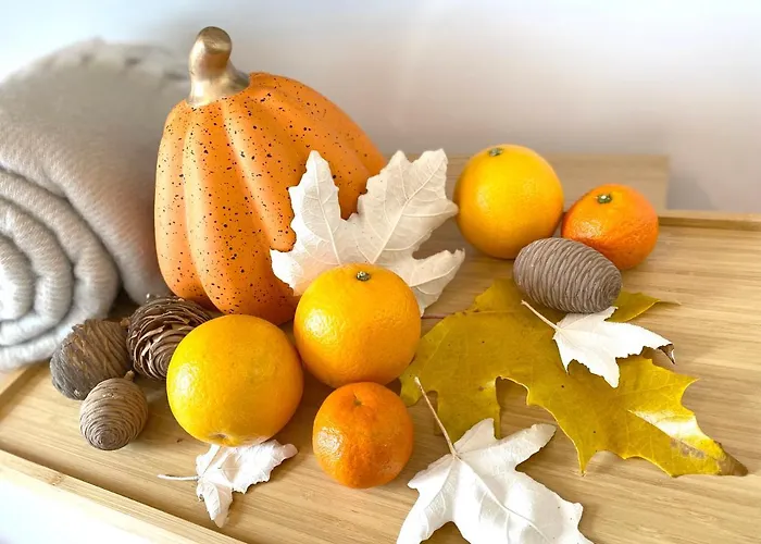 アパート Snow&fun - - Monte Oiz シエラネバダ