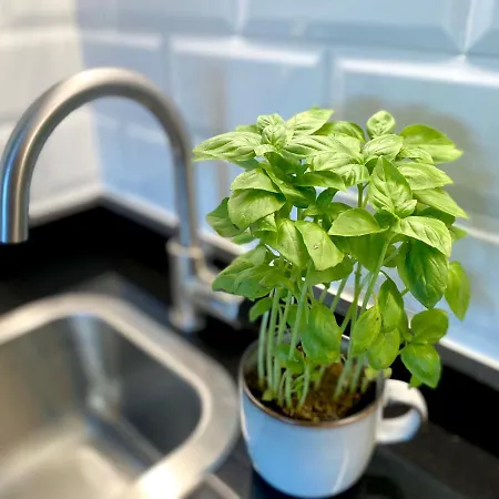 Snow&fun - - Monte Oiz شقة سْييرا نيفادا