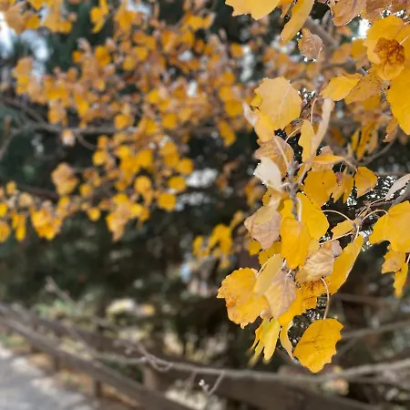 Snow&fun - - Monte Oiz * سْييرا نيفادا