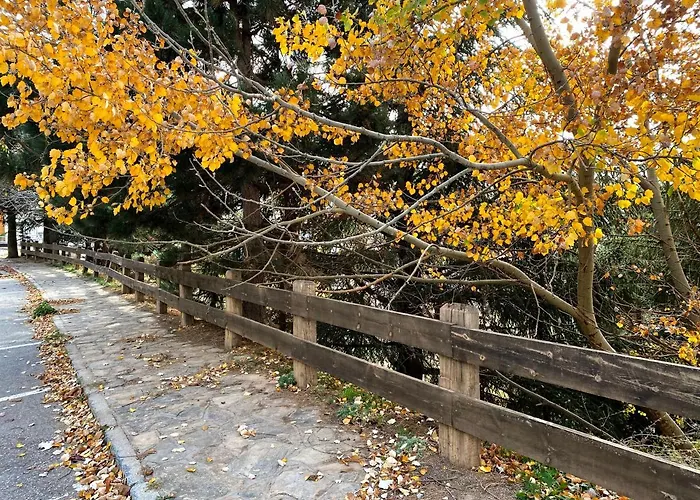 Snow&fun - - Monte Oiz アパート *