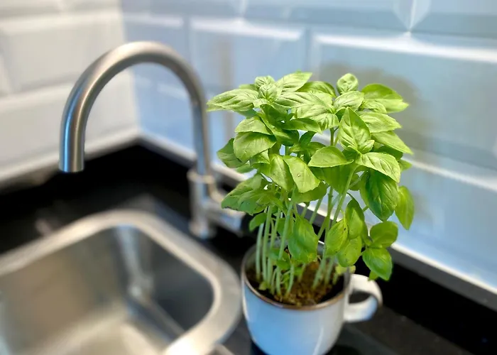 Snow&fun - - Monte Oiz 公寓 塞拉内华达