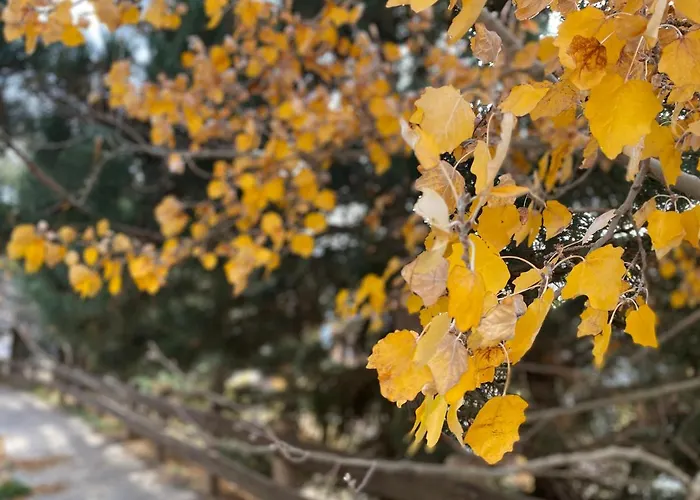 Snow&fun - - Monte Oiz * 塞拉内华达